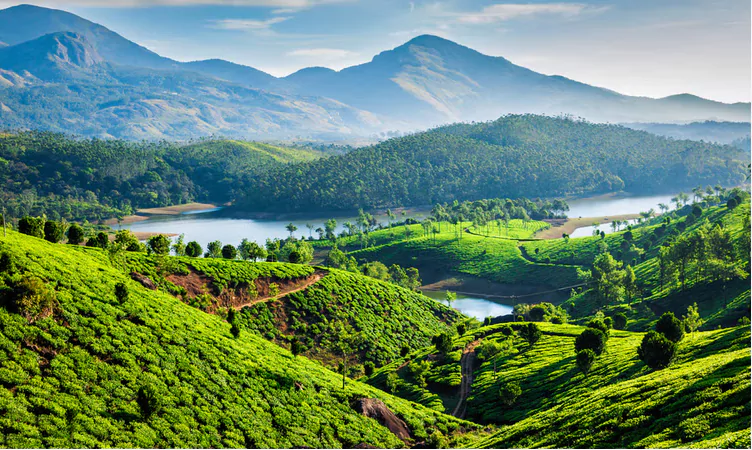 munnar-75-places-to-visit-in-kerala-2024-tourist-places-attractions-mangalore-car-rentals